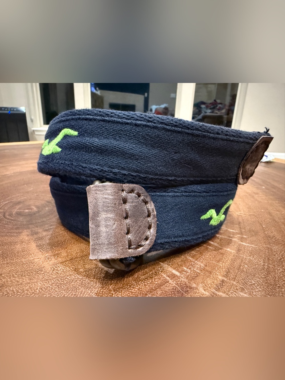 Hollister Navy Fabric Belt with Green Logo and Brown Leather Trim